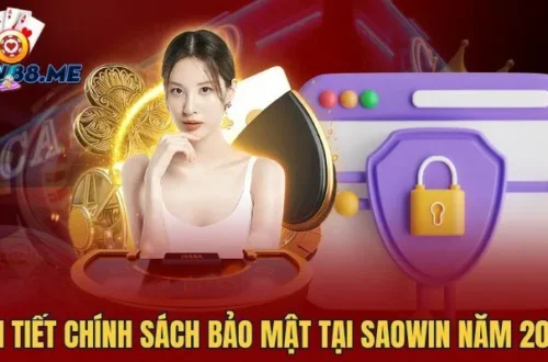 Saowin’s Privacy Policy – Setting a New Benchmark for Online Security